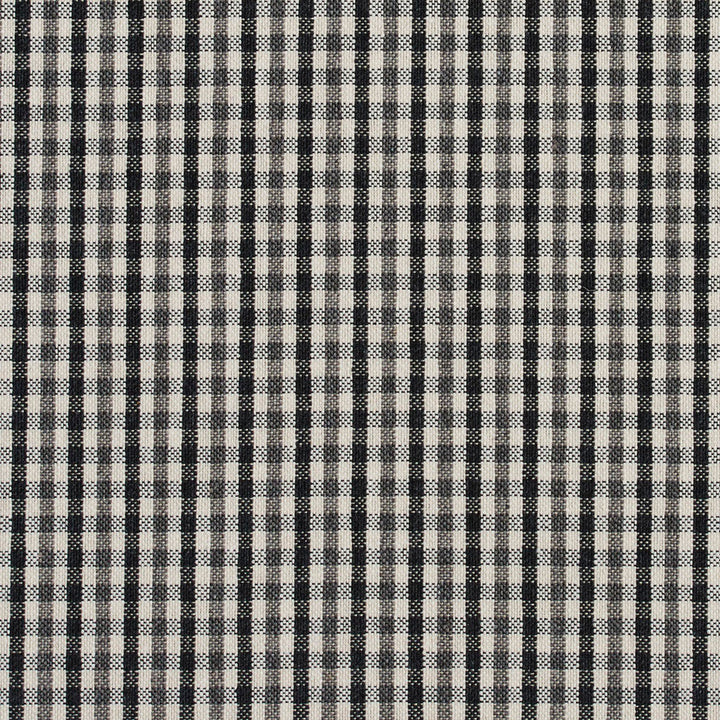 5815 Onyx Check by Charlotte Designer Fabric Classic Patterns 52% Polyester, 48% Cotton Made In USA Exceeds 200,000 Wyzenbeek Rubs (Heavy Duty) Horizontal: .5" X Vertical: .25" 54 Inches - Swanky Fabrics -