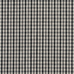 Charlotte Fabric 5815 Onyx Check