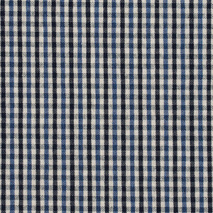 Charlotte Fabric 5819 Cobalt Check