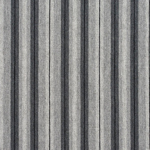 Charlotte Fabric 5820 Sterling Stripe