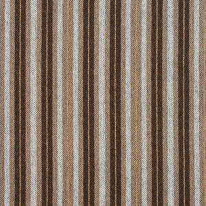 Charlotte Fabric 5822 Desert Stripe