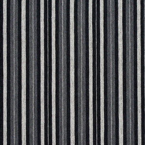 Charlotte Fabric 5825 Onyx Stripe
