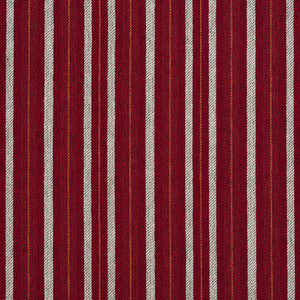 Charlotte Fabric 5826 Spice Stripe