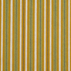 Charlotte Fabric 5828 Spring Stripe