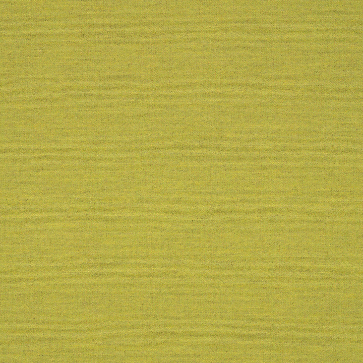 62027-0003 Triumph Leaf by Sunbrella Designer Fabric Sunbrella Transcend SunbrellaÂ® Acrylic, SunbrellaÂ® Polyester USA or Imported 5-Year Horizontal: and Vertical: 50 yd. 54 in. - Swanky Fabrics -