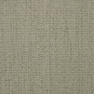 Sunbrella Fabric SAV2 J350 140 Savane Nimbus