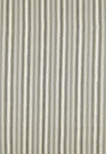 Schumacher Fabric Charee Silk Stripe Black & White 60920