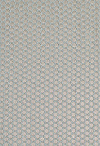 Schumacher Fabric Sprinkle Aqua 62273