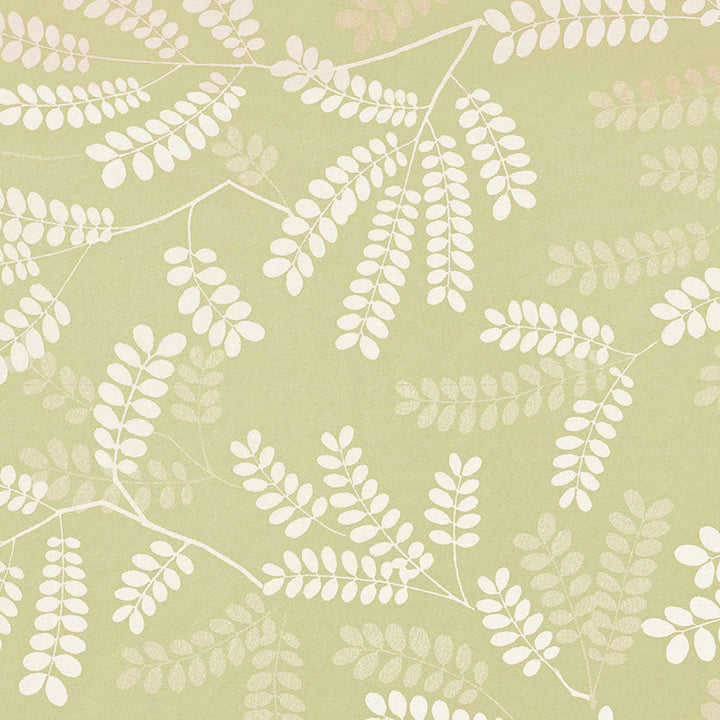 Locust Leaves Fern 62440 by Schumacher Designer Fabric BY NATURE ORGANIC COTTON 100% CHILE WYZENBEEK 22,000 </p><p>Repeat: Horizontal: 25 1/2" (65CM) and Vertical: 26" (66CM) 54 - Swanky Fabrics -