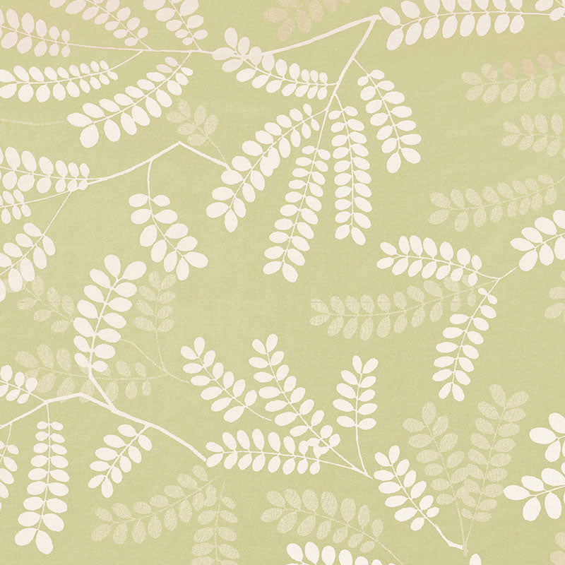 Locust Leaves Fern 62440 by Schumacher Fabric Schumacher Fabric Locust Leaves Fern 62440Fabric ORGANIC COTTON 100% CHILE </p><p>Repeat: H: HORZ. 25 1/2" (65CM) , V: VERT. 26" (66CM) 54 - Fabric Carolina -