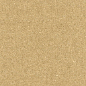 Schumacher Fabric Stone Texture Cafe' 62460