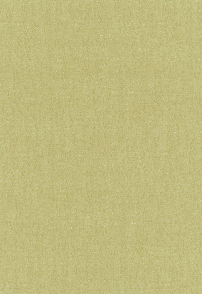 Stone Texture Fern 62463 by Schumacher Designer Fabric By-Nature 100% Organic Martindale 18,000 Horizontal: - and Vertical: - 56 - Swanky Fabrics -