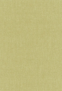 Schumacher Fabric Stone Texture Fern 62463