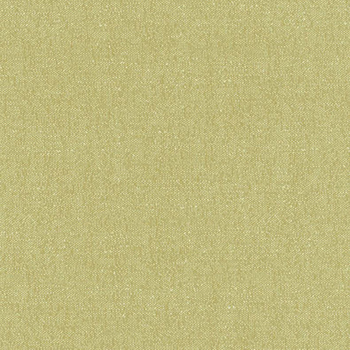 Stone Texture Fern 62463 by Schumacher Fabric Schumacher Fabric Stone Texture Fern 62463Fabric ORGANIC COTTON 100% FRANCE </p><p>Repeat: H: , V: 56 - Fabric Carolina -