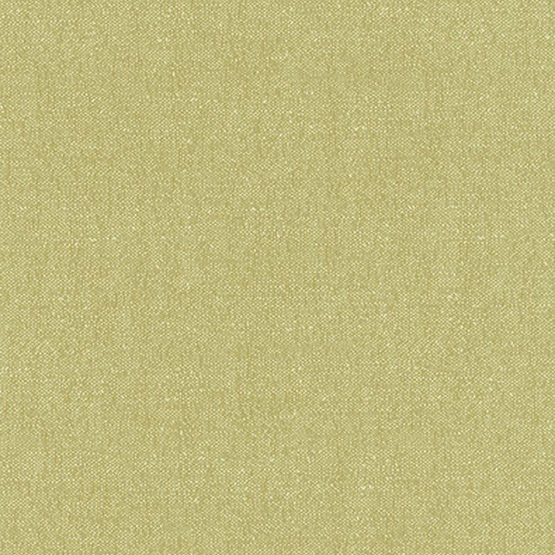 Stone Texture Fern 62463 by Schumacher Designer Fabric BY NATURE See Sample FRANCE HEAVY DUTY </p><p>Repeat: Horizontal: - and Vertical: - 56" WIDE (142CM) - Swanky Fabrics -