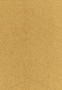 Schumacher Fabric Kenya Texture Camel 62570