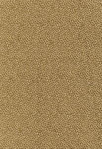 Schumacher Fabric Kenya Texture Olive 62572