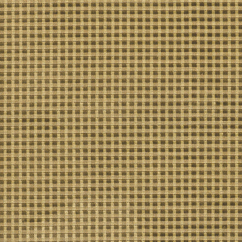 Trianon Velvet Check Moss 62593 by Schumacher Designer Fabric CHROMA See Sample BELGIUM MEDIUM DUTY </p><p>Repeat: Horizontal: 3/8" (1CM) and Vertical: 3/8" (1CM) 53 1/2" WIDE (136CM) - Swanky Fabrics -