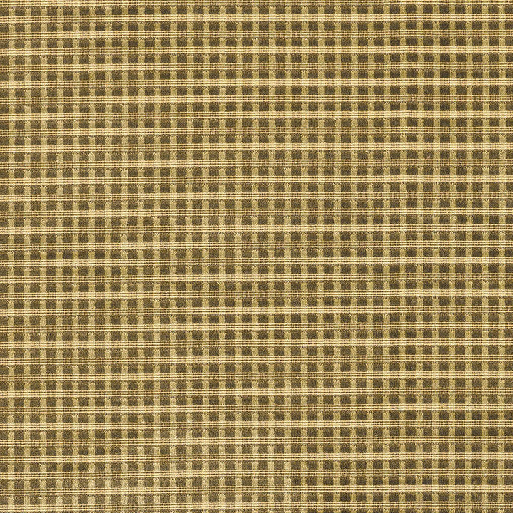 Trianon Velvet Check Moss 62593 by Schumacher Designer Fabric CHROMA See Sample BELGIUM MEDIUM DUTY </p><p>Repeat: Horizontal: 3/8" (1CM) and Vertical: 3/8" (1CM) 53 1/2" WIDE (136CM) - Swanky Fabrics -