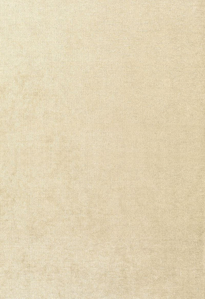 Glimmer Champagne 62637 by Schumacher Designer Fabric Chroma 48% Viscose, 28% Polyester, 24% Cotton Martindale 15,000 Horizontal: - and Vertical: - 54 - Swanky Fabrics -