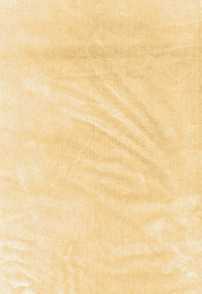 Venetian Silk Velvet Champagne 62730 by Schumacher Designer Fabric Perfect-Basics-Venetian-Silk-Velvet 51% Silk, 49% Cotton Martindale 20,000 Horizontal: - and Vertical: - 55 - Swanky Fabrics -