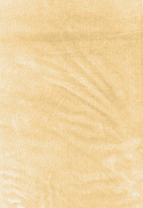 Schumacher Fabric Venetian Silk Velvet Champagne 62730