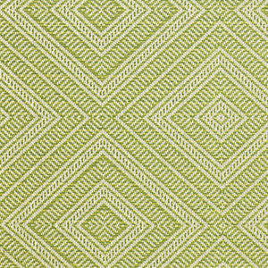 Schumacher Fabric Tortola Indoor/Outdoor Kiwi 62840