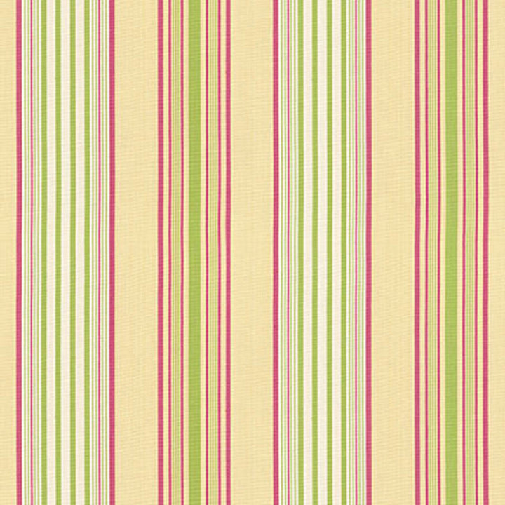 Saratoga Cotton Stripe Maize / Pear / Raspberry 62960 by Schumacher Fabric Schumacher Fabric Saratoga Cotton Stripe Maize / Pear / Raspberry 62960Fabric COTTON 100% INDIA </p><p>Repeat: H: HORZ. 9 1/4" (23CM) , V: 54 - Fabric Carolina -