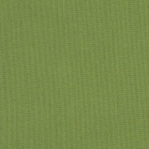 Sunbrella Fabric 48022 77 Rain Spectrum Cilantro