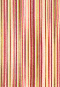Schumacher Fabric Malibu Stripe Cerise 63450