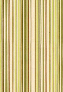 Schumacher Fabric Malibu Stripe Pear 63453