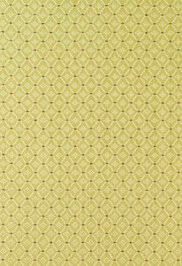 Schumacher Fabric Clifton Cotton Strie Pear 63522
