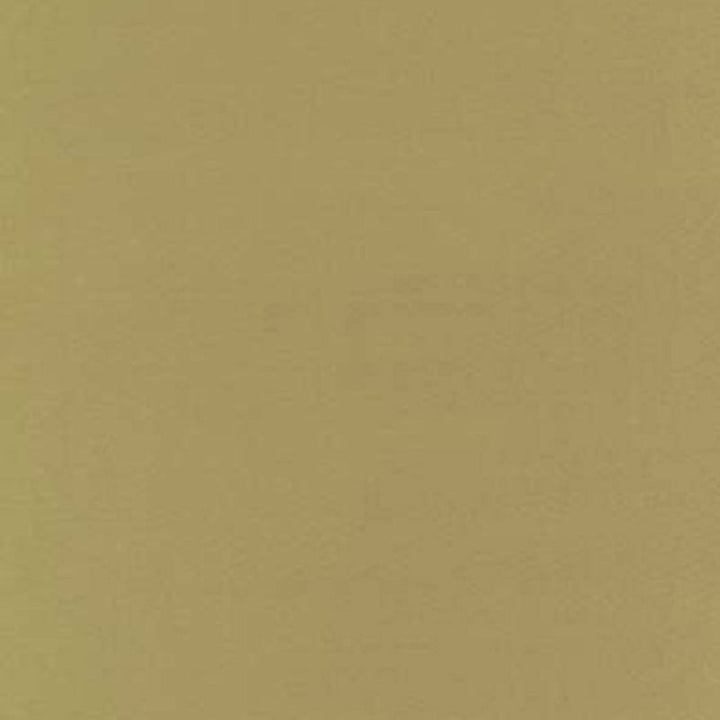 Botticelli Silk Taffeta Cashew 63813 by Schumacher Designer Fabric ESSENTIAL PLAINS / SILK See Sample INDIA NOT APPLICABLE </p><p>Repeat: Horizontal: - and Vertical: - 54" WIDE (137CM) - Swanky Fabrics -