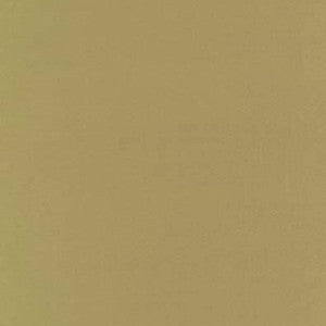 Schumacher Fabric Botticelli Silk Taffeta Cashew 63813