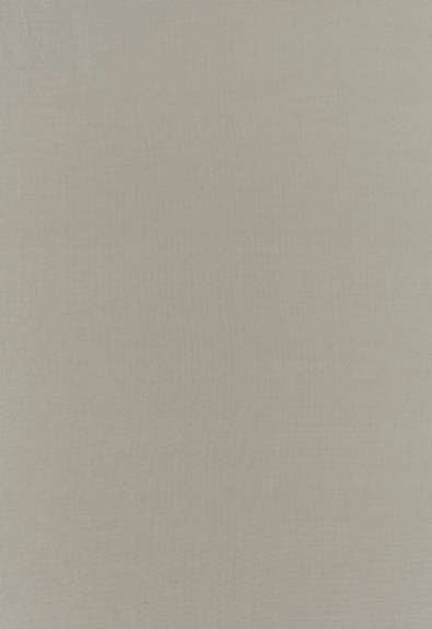 Botticelli Silk Taffeta Fog 63818 by Schumacher Designer Fabric Essential-Plainssilks 100% Silk - Horizontal: - and Vertical: - 54 - Swanky Fabrics -