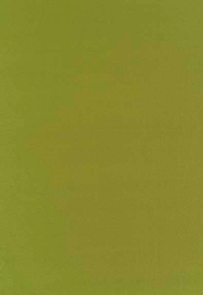 Botticelli Silk Taffeta Apple 63827 by Schumacher Designer Fabric Essential-Plainssilks 100% Silk - Horizontal: - and Vertical: - 54 - Swanky Fabrics -
