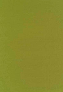 Schumacher Fabric Botticelli Silk Taffeta Apple 63827