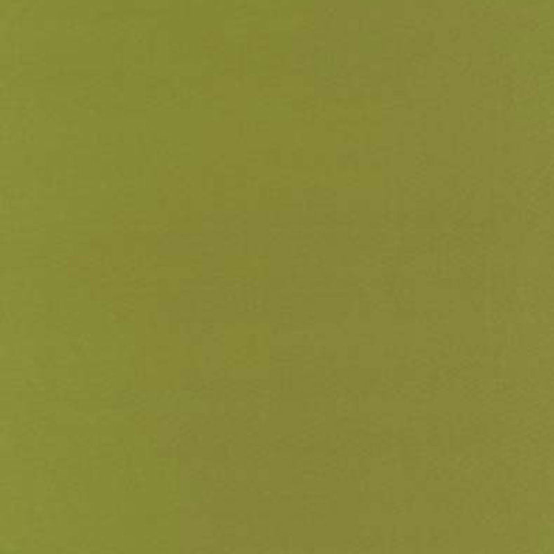 Botticelli Silk Taffeta Apple 63827 by Schumacher Fabric Schumacher Fabric Botticelli Silk Taffeta Apple 63827Fabric SILK 100% INDIA </p><p>Repeat: H: , V: 54 - Fabric Carolina -