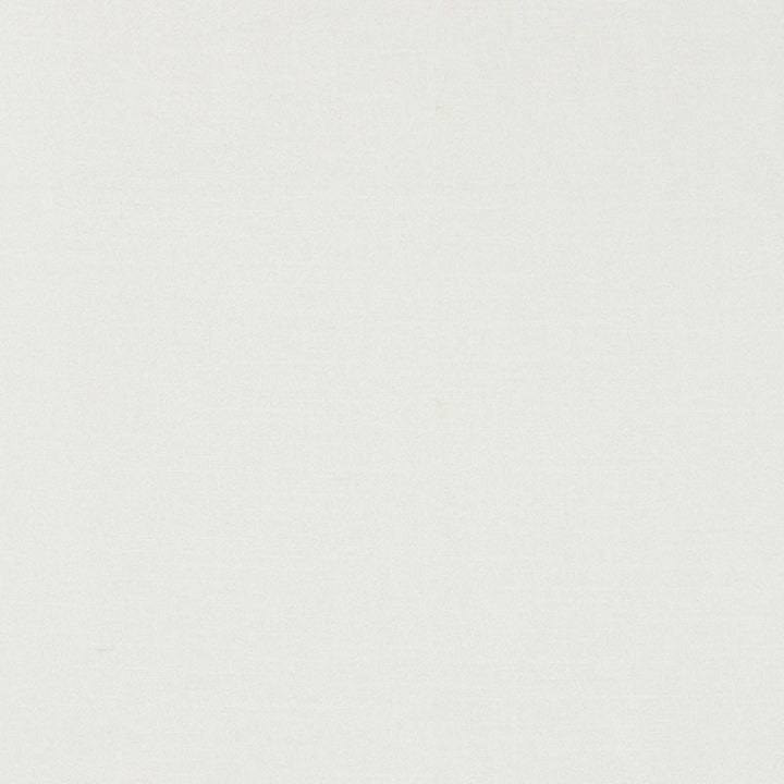 Tiepolo Shantung Weave Snow 63847 by Schumacher Fabric Schumacher Fabric Tiepolo Shantung Weave Snow 63847Fabric POLYESTER 100% INDIA </p><p>Repeat: H: , V: 54 - Fabric Carolina -