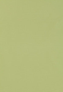Schumacher Fabric Giordano Taffeta Mint Julep 63971