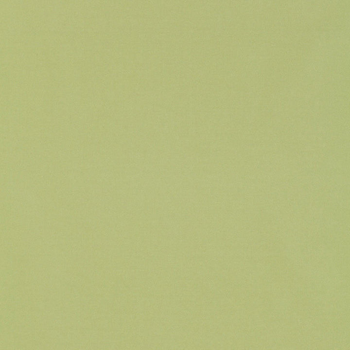 Giordano Taffeta Mint Julep 63971 by Schumacher Designer Fabric MIRAGE / TEXTURES & PLAINS See Sample TURKEY . </p><p>Repeat: Horizontal: - and Vertical: - 54" WIDE (137CM) - Swanky Fabrics -