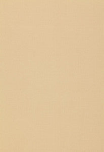 Schumacher Fabric Isolde Cotton Weave String 64378