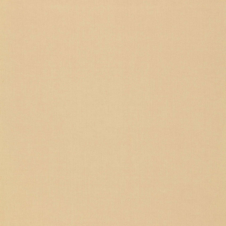 Isolde Cotton Weave String 64378 by Schumacher Designer Fabric ESSENTIAL PLAINS COTTON 100% ITALY MARTINDALE 10,000 </p><p>Repeat: Horizontal: and Vertical: 57 - Swanky Fabrics -