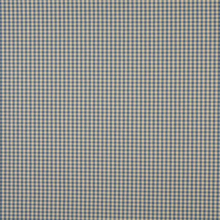 6447 Wedgewood by Charlotte Designer Fabric Ring Book Page #60 64% Acrylic, 36% Polyester Made In USA Exceeds 70,000 Wyzenbeek Rubs (Heavy Duty) Horizontal: 0.50" x Vertical: 0.5" 54 Inches - Swanky Fabrics -