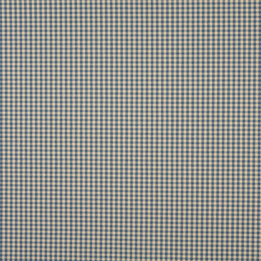 6447 Wedgewood by Charlotte Designer Fabric Ring Book Page #60 64% Acrylic, 36% Polyester Made In USA Exceeds 70,000 Wyzenbeek Rubs (Heavy Duty) </p><p>Repeat: Horizontal: .5" x Vertical: .5" 54 Inches - Swanky Fabrics -