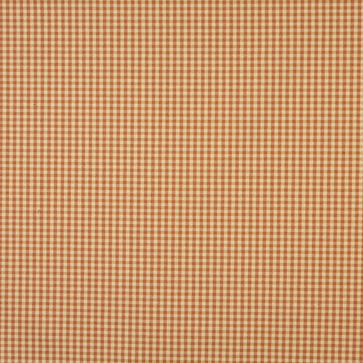 6448 Camel by Charlotte Designer Fabric Ring Book Page #60 64% Acrylic, 36% Polyester Made In USA Exceeds 70,000 Wyzenbeek Rubs (Heavy Duty) </p><p>Repeat: Horizontal: .5" x Vertical: .5" 54 Inches - Swanky Fabrics -