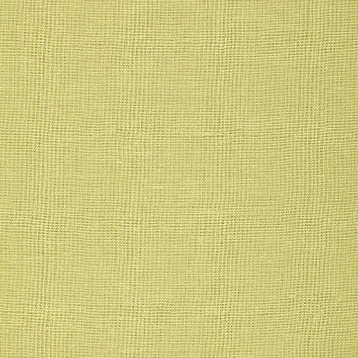 Gweneth Linen Fern 64495 by Schumacher Designer Fabric ESSENTIAL PLAINS / LINEN & COTTON LINEN 100% BELGIUM MARTINDALE 22,000 </p><p>Repeat: Horizontal: and Vertical: 55 - Swanky Fabrics -