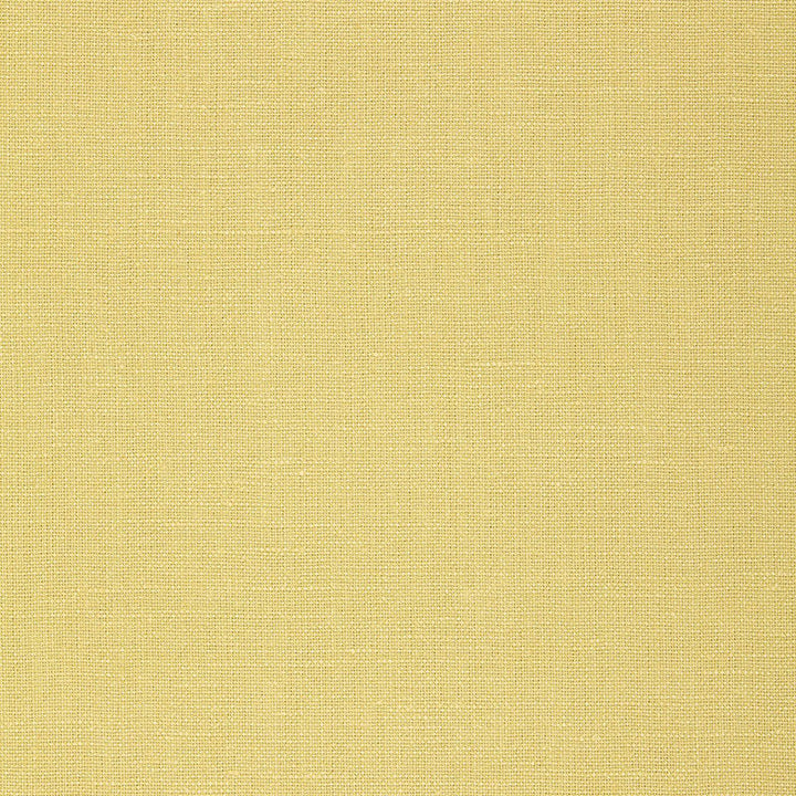 Gweneth Linen Limeade 64496 by Schumacher Fabric Schumacher Fabric Gweneth Linen Limeade 64496Fabric LINEN 100% BELGIUM </p><p>Repeat: H: , V: 55 - Fabric Carolina -