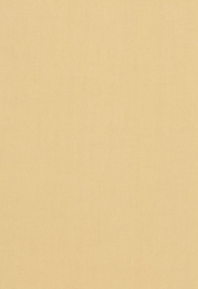 Tristan Cotton Weave Chamois 64508 by Schumacher Designer Fabric COLLECTION-NAME-TBA-64500 100% Cotton Martindale 15,000 Horizontal: - and Vertical: - 54 - Swanky Fabrics -
