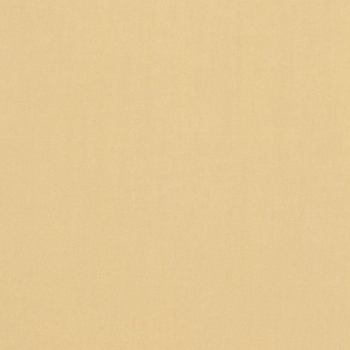 Tristan Cotton Weave Chamois 64508 by Schumacher Designer Fabric ESSENTIAL PLAINS COTTON 100% ITALY MARTINDALE 15,000 </p><p>Repeat: Horizontal: and Vertical: 54 - Swanky Fabrics -